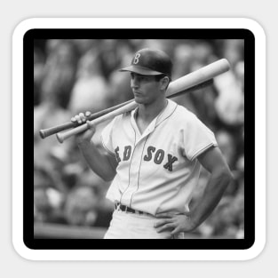 Carl Yastrzemski 1967 Sticker